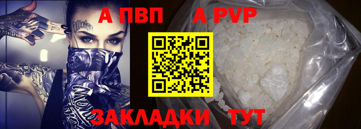 Альфа ПВП СК КРИС Грозный