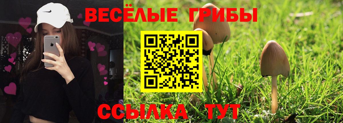 Грозный  Галлюциногенные грибы Magic Shrooms  Вход с VPN 